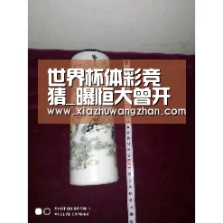世界杯下注入口